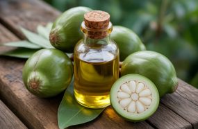 Huile de Tamanu et traitement des cicatrices de brûlures anciennes