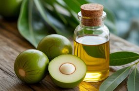 Huile de Tamanu et ses effets sur les bleus, coups et hématomes